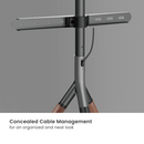 Bracom Tripod Stylish Easel Studio TV Floor Stand Matte Black & Walnut