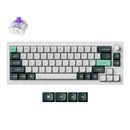 Keychron Q2 HE QMK Wireless Knob Shell White Gateron Double-Rail Magnetic Nebula Switch Keyboard