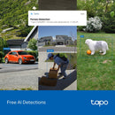 TP-Link Tapo C560WS Outdoor Pan/Tilt Security Wi-Fi Camera