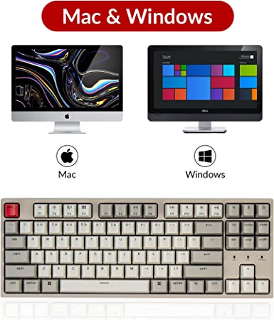 Keychron C1 ANSI 80% TKL Layout 87 Key - Red Switch RGB - Gateron G pro Mechanical Wired Normal Profile Keyboard