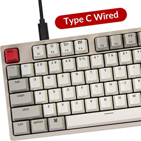 Keychron C1 ANSI 80% TKL Layout 87 Key - Brown Switch RGB - Gateron G pro Mechanical Wired Normal Profile Keyboard