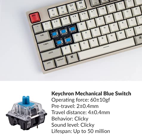 Keychron C1 ANSI 80% TKL Layout 87 Key - Blue Switch RGB - Gateron G pro Mechanical Wired Normal Profile Keyboard